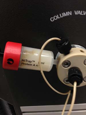 Chromatography post image