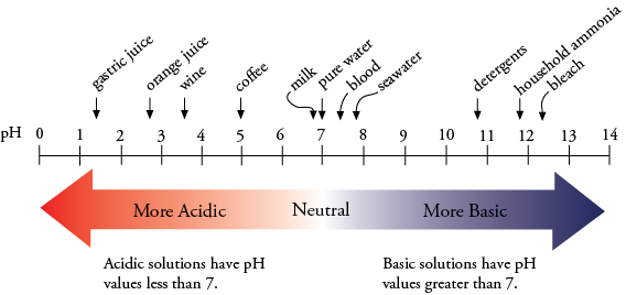 pH Scale